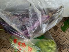 -东天目山风景区