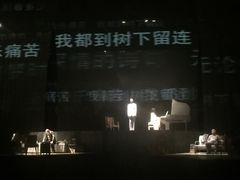 -合肥大剧院