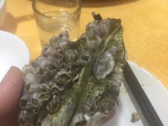-蚝专家(北滘店)