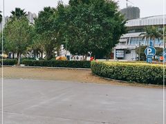 -八大场馆游泳馆