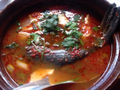 酸辣弓鱼-苍洱春饭店