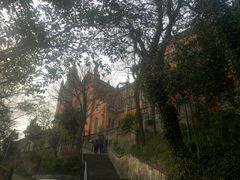 -上海佘山国家森林公园西佘山园