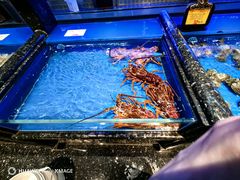 -万宝海鲜舫(劳动公园店)