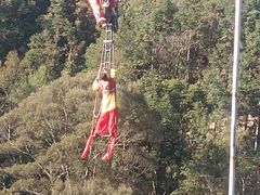 -九龙江国家森林公园