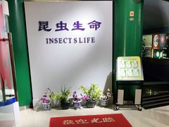 -上海昆虫博物馆