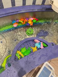 -奈尔宝家庭中心·亲子餐厅(苏州大悦城店)