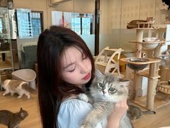 -有喵·猫咖·狗咖·30几只猫10只小狗(岗厦店)