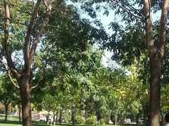 android_upload_pic-泰丰公园