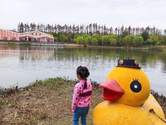 -上海长兴岛郊野公园