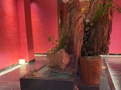 -恬阿姨庭院餐厅·生日宴