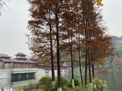 -重庆彩云湖湿地公园