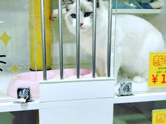 -1013 PET SHOP 宠物商店(近铁城市广场店)