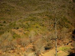 -硗碛藏寨·神木垒景区