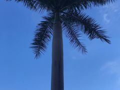 -碧水湾温泉