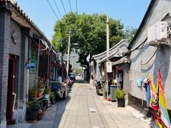 -奥体中心游泳馆