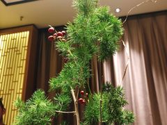 -尚海豆捞(乐虹坊店)