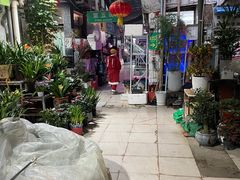 -武汉花鸟市场