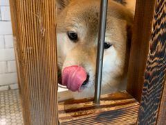 -大水的店(昙华林店)