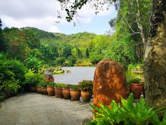 -深圳仙湖植物园