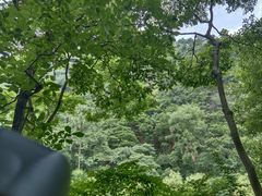-黔灵山公园