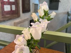 -绿房子方寸咖啡(星海名城店)