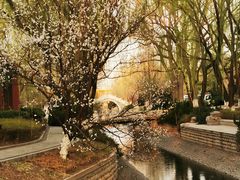 -菖蒲河公园
