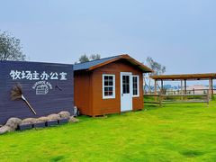 -空港花田景区