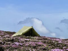 -秦岭终南山世界地质公园翠华山景区