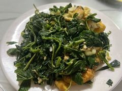 -中原农家乐(中原饭店)