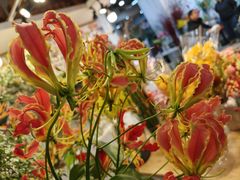 -双季花艺园艺市场(浦东店)