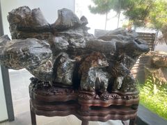 -苏州园林博物馆