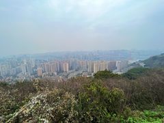 -重庆平顶山公园