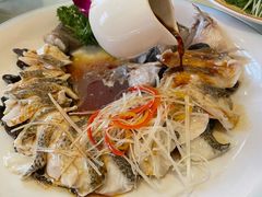 -博雅渔港·融合菜(维也纳国际大酒店)