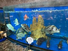 -第六季自助餐厅(王府井店)
