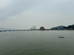 -野狸岛