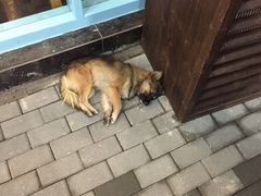 -乌镇那一年小院主题餐厅(甘泉西路店)