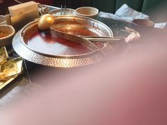 -牛New寿喜烧(金鹰世界店)