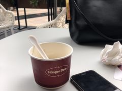 -哈根达斯(龙湖时代天街店)