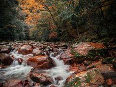 -光雾山旅游景区