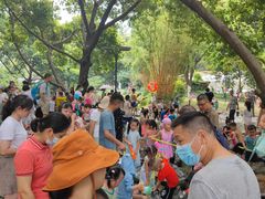 -成都市活水公园