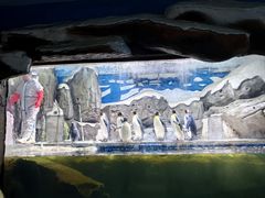 -梦幻海洋王国(吾悦广场张家港店)