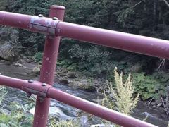 iphone_upload_pic-层云峡