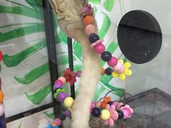 -藦茜花园宠物主题亲子互动体验馆(国顺东路店)