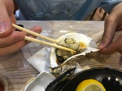 -爱蚝屋