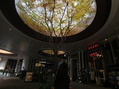 -黑胶星球(华发中城商都店)
