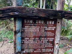 -蔡家宅