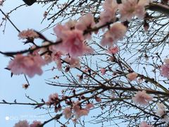 -白水寺森林公园