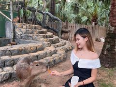 -灵玲国际马戏城