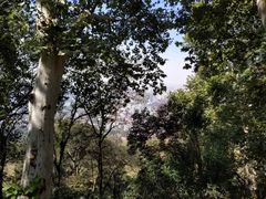 -紫金山天文台