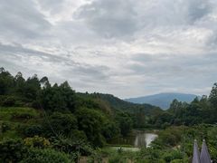 -天强农家菜馆